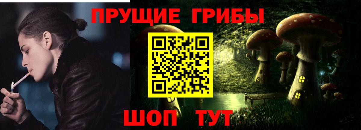 Галлюциногенные грибы Cubensis  Вход с VPN  Галлюциногенные грибы Cubensis  Анжеро-Судженск 